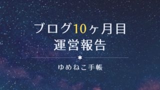 ブログ10ヶ月目 運営報告