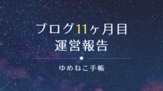 ブログ11ヶ月目 運営報告